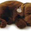 TheHolidayBarn.com New! Breathing Chocolate Lab Puppy 1 TheHolidayBarn.com New! Breathing Chocolate Lab Puppy
