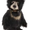 Charlie Bears Barefoot Moon Bear 2 Charlie Bears Barefoot Moon Bear