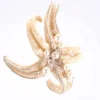Katherine's Collection New! Dancing Starfish Ornament