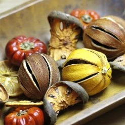 TheHolidayBarn.com Dried Quince Slices Vase Filler 5 TheHolidayBarn.com Dried Quince Slices Vase Filler