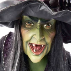 Katherine's Collection Haunted Witch Wall Piece New!