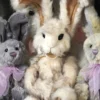 New! Charlie Bears Parsley Rabbit 1 New! Charlie Bears Parsley Rabbit