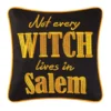 TheHolidayBarn.com New! Salem Witch Pillow