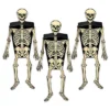 Beistle Beistle Vintage Halloween Skeleton Party Favor Boxes 2 Beistle Beistle Vintage Halloween Skeleton Party Favor Boxes