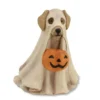 Spooky Ghost Dog - Bethany Lowe