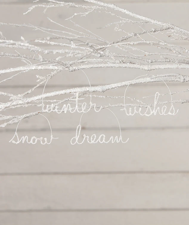 Bethany Lowe New! Winter Cursive Wire Word Ornaments 3 Bethany Lowe New! Winter Cursive Wire Word Ornaments