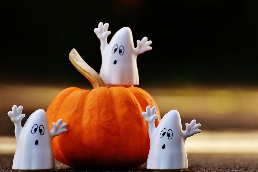 TheHolidayBarn Sales Shop -THE HOLIDAY BARN Shop 545